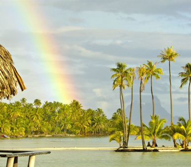 Картинка Le Taha`a Private Island 13 Фото Le Taha`a Private Island 13