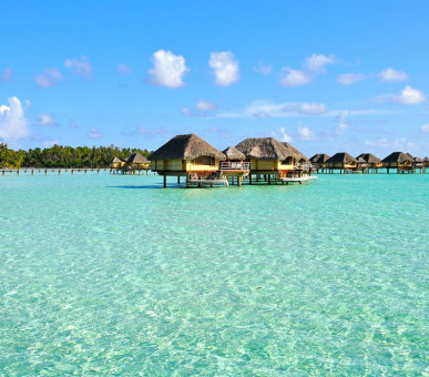 Картинка Le Taha`a Private Island 3 Фото Le Taha`a Private Island 3