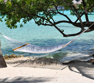 Картинка Le Taha`a Private Island 24 Фото Le Taha`a Private Island 24