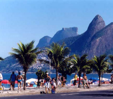 Картинка 1 Фото 1