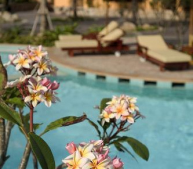 Картинка 7 Фото 7