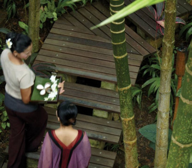 Фото Four Seasons Resort Koh Samui (Таиланд, о. Самуи) 15