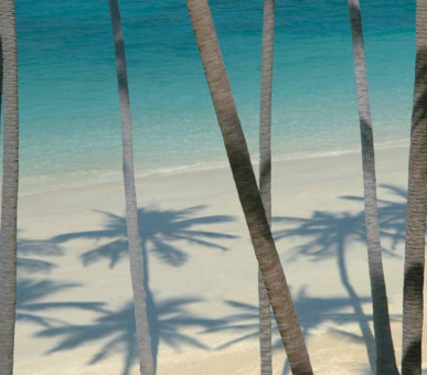 Фото Four Seasons Resort Koh Samui (Таиланд, о. Самуи) 13