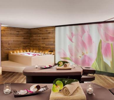 Картинка Giardino Mountain (Швейцария, Санкт-Мориц) 14 Фото Giardino Mountain (Швейцария, Санкт-Мориц) 14