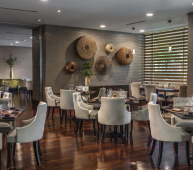 Фото The Ritz Carlton, Santiago 18