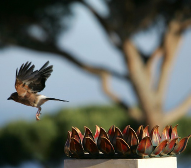 Картинка Chateau de la Messardiere (Франция, Сен Тропе) 12 Фото Chateau de la Messardiere (Франция, Сен Тропе) 12