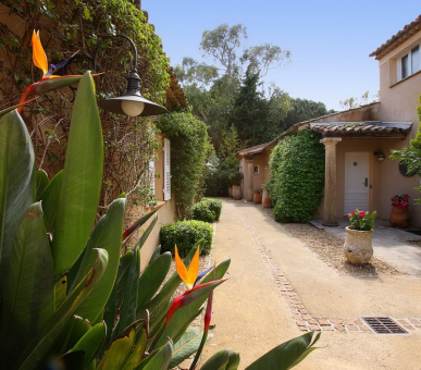 Картинка Saint Amour La Tartane (Франция, Сен Тропе) 15 Фото Saint Amour La Tartane (Франция, Сен Тропе) 15