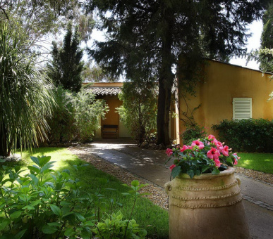 Картинка Saint Amour La Tartane (Франция, Сен Тропе) 11 Фото Saint Amour La Tartane (Франция, Сен Тропе) 11