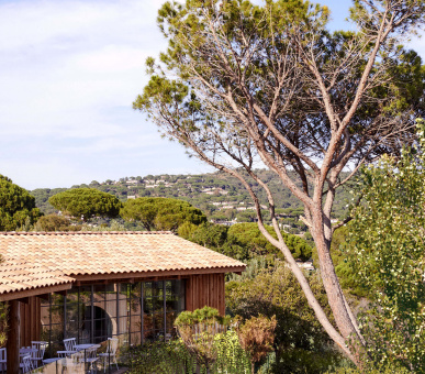 Картинка Lily of the Valley Hotel 12 Фото Lily of the Valley Hotel 12