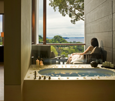 Фото Capella Singapore (Сингапур, Сентоза) 11