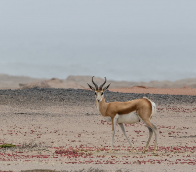 Картинка 12 Фото 12