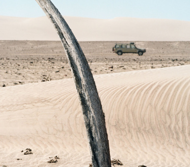 Картинка 31 Фото 31