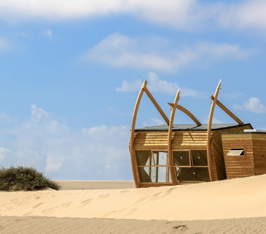 Картинка 16 Фото 16