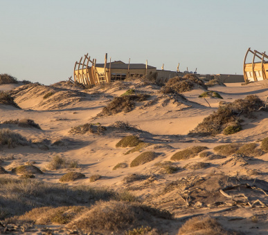 Картинка 18 Фото 18