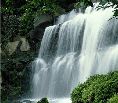 Картинка Four Seasons Hotel Tokyo at Chinzan-so (Япония, Токио) 12 Фото Four Seasons Hotel Tokyo at Chinzan-so (Япония, Токио) 12