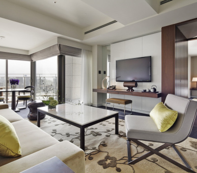 Фото Palace Hotel Tokyo (Япония, Токио) 30