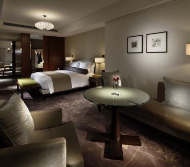 Фото Palace Hotel Tokyo (Япония, Токио) 6