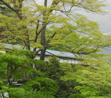 Картинка Gora Kadan (Япония, Хаконе) 14 Фото Gora Kadan (Япония, Хаконе) 14