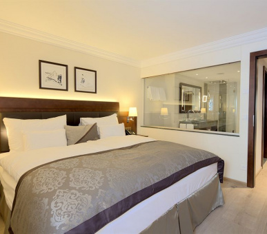 Фото Seiler Mont Cervin Palace  16