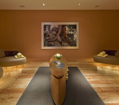 Фото Grand Hotel Zermatterhof (Швейцария, Церматт) 40