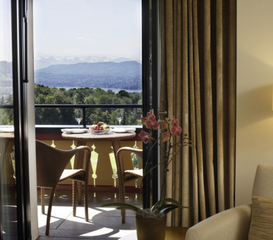 Фото The Dolder Grand (Швейцария, Цюрих) 35