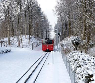 Фото The Dolder Grand (Швейцария, Цюрих) 39