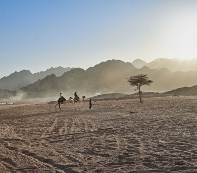 Фото Four Seasons Resort Sharm El Sheikh 73