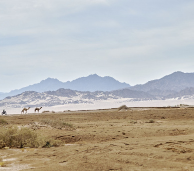 Фото Four Seasons Resort Sharm El Sheikh 69