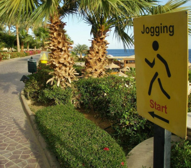 Картинка Hyatt Regency Sharm El Sheikh Resort (Египет, Шарм эль Шейх) 12 Фото Hyatt Regency Sharm El Sheikh Resort (Египет, Шарм эль Шейх) 12