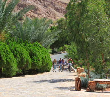 Картинка Evason Ma'In Hot Springs and Six Senses Spa (Иордания, Термальные источники) 11 Фото Evason Ma'In Hot Springs and Six Senses Spa (Иордания, Термальные источники) 11