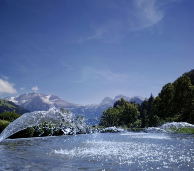 Фото Lenkerhof Gourmet Spa Resort (Швейцария, Ленк) 31