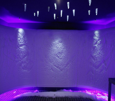 Фото Lenkerhof Gourmet Spa Resort (Швейцария, Ленк) 38