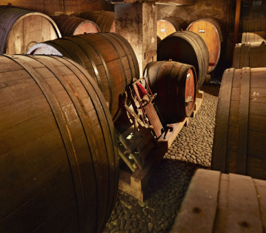 Фото Grand Hotel Kronenhof (Швейцария, Понтресина) 41