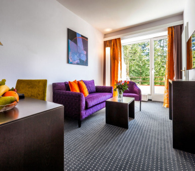 Картинка Excelsior Arosa (Швейцария, Ароза) 14 Фото Excelsior Arosa (Швейцария, Ароза) 14