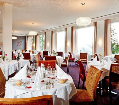 Картинка Excelsior Arosa (Швейцария, Ароза) 33 Фото Excelsior Arosa (Швейцария, Ароза) 33