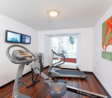 Картинка Excelsior Arosa (Швейцария, Ароза) 28 Фото Excelsior Arosa (Швейцария, Ароза) 28