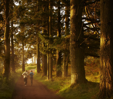 Картинка Gleneagles (Великобритания, Пертшир) 15 Фото Gleneagles (Великобритания, Пертшир) 15