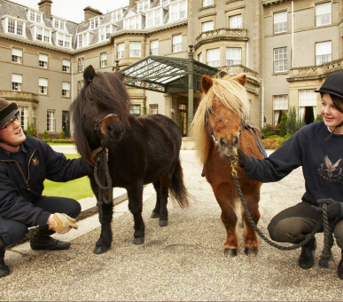 Картинка Gleneagles (Великобритания, Пертшир) 12 Фото Gleneagles (Великобритания, Пертшир) 12