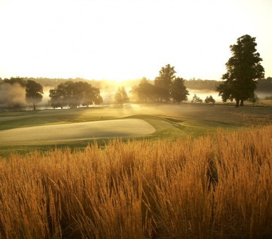 Картинка The Grove 36 Фото The Grove 36