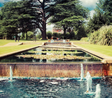 Картинка The Grove 5 Фото The Grove 5