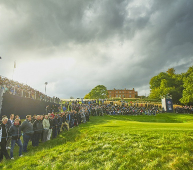 Картинка The Grove 33 Фото The Grove 33