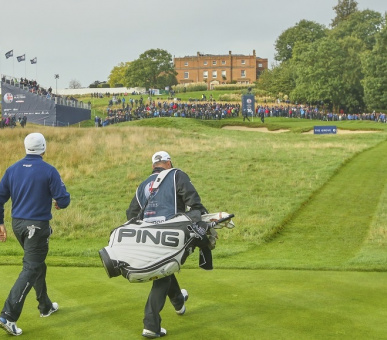 Картинка The Grove 32 Фото The Grove 32