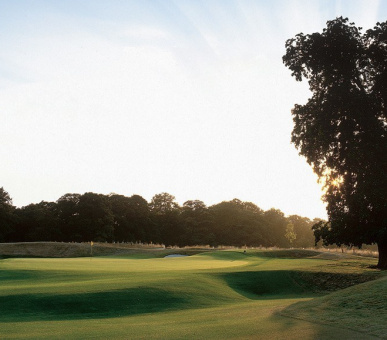 Картинка The Grove 37 Фото The Grove 37