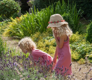 Картинка Four Seasons Hotel Hampshire 15 Фото Four Seasons Hotel Hampshire 15