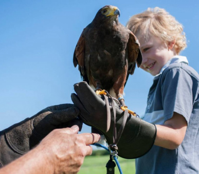 Картинка Four Seasons Hotel Hampshire 29 Фото Four Seasons Hotel Hampshire 29