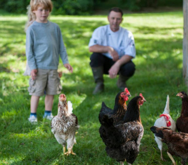 Картинка Four Seasons Hotel Hampshire 31 Фото Four Seasons Hotel Hampshire 31