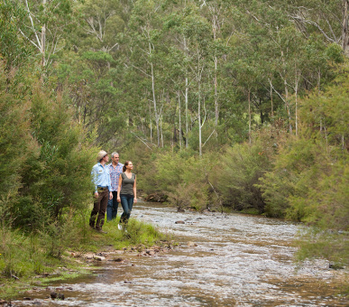 Фото Emirates One 51