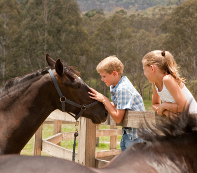 Фото Emirates One 5