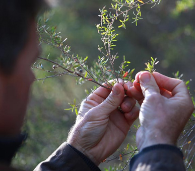 Фото Emirates One 7