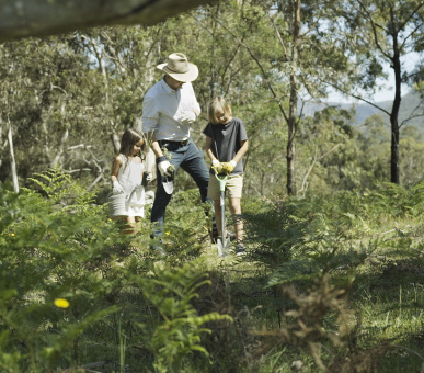 Фото Emirates One 14